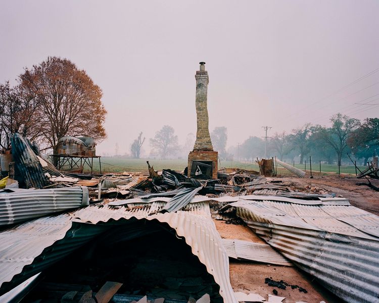 Tom Goldner explores issues of environment and colonialism through a faded Australian icon — the brumby